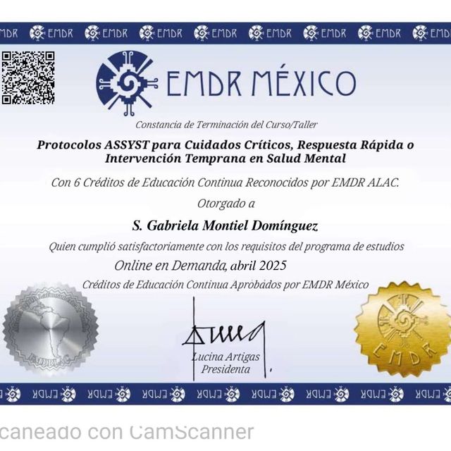 Ampliar imagen: certificate 20