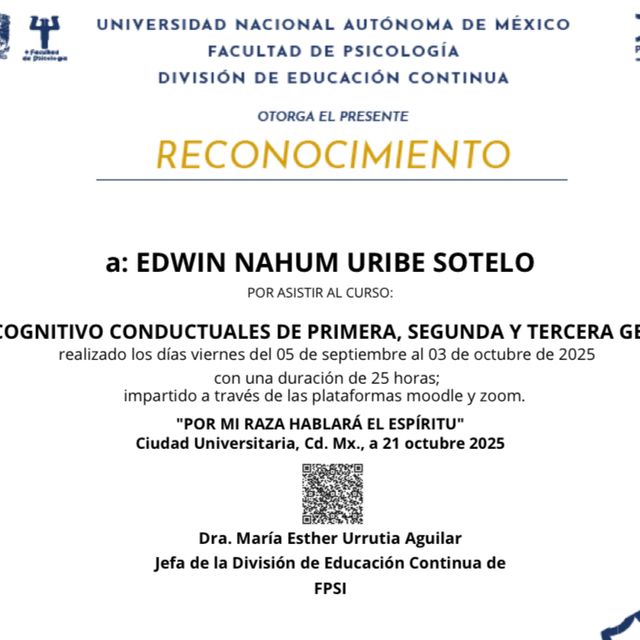 Ampliar imagen: certificate 3