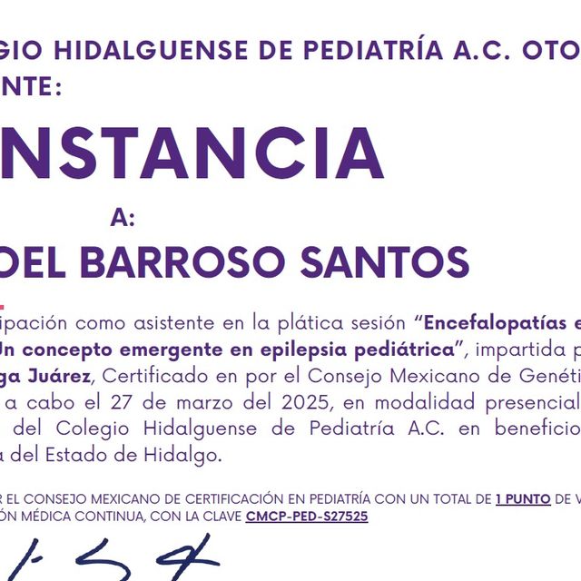 Ampliar imagen: certificate 31