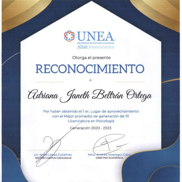 Ampliar imagen: certificate 11