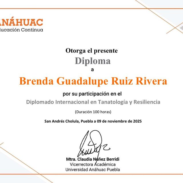Ampliar imagen: certificate 14