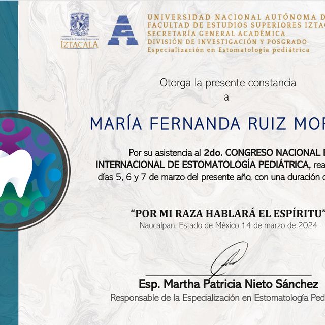 Ampliar imagen: certificate 7