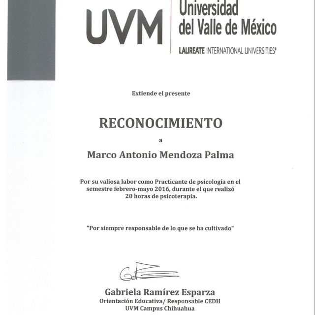 Ampliar imagen: certificate 1