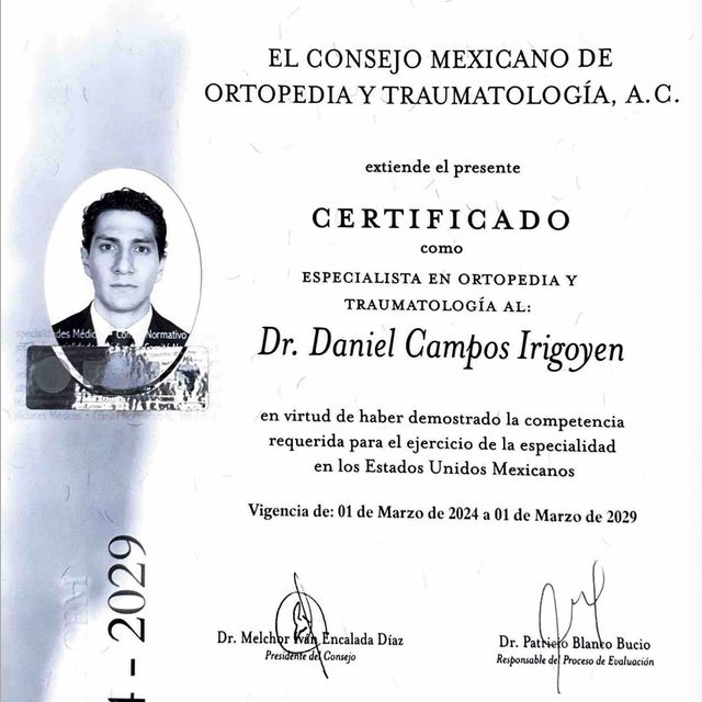 Ampliar imagen: certificate 2