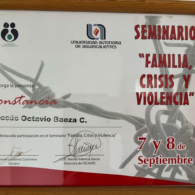 Ampliar imagen: certificate 7
