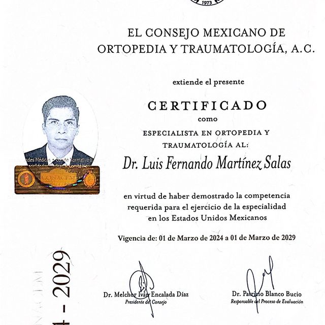 Ampliar imagen: certificate 5