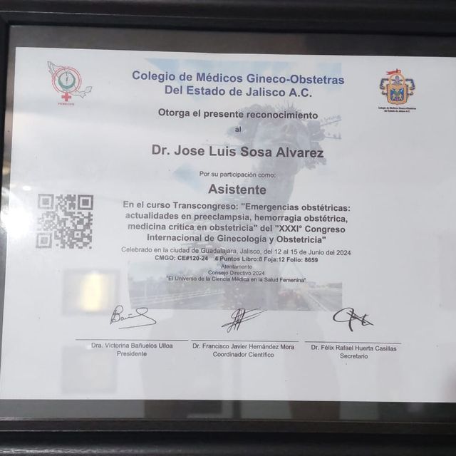 Ampliar imagen: certificate 5