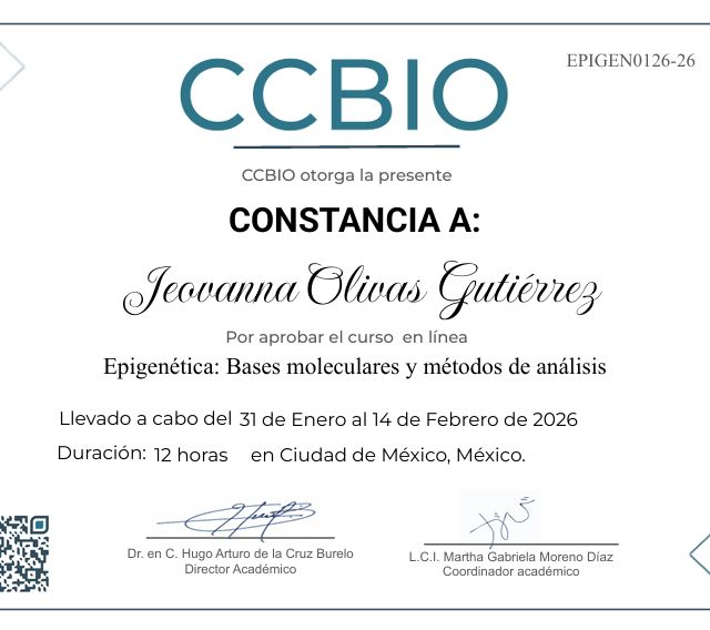 Ampliar imagen: certificate 3