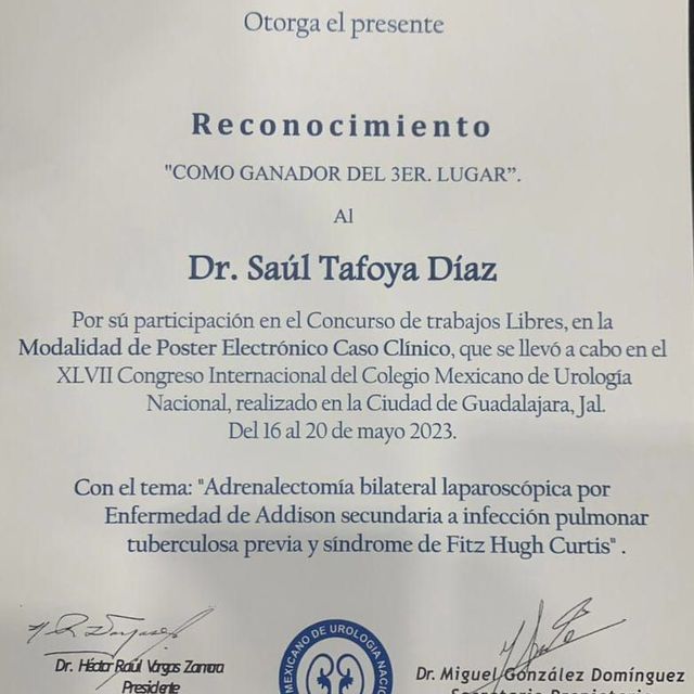 Ampliar imagen: certificate 5