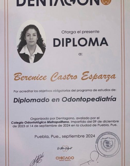 Ampliar imagen: certificate 5