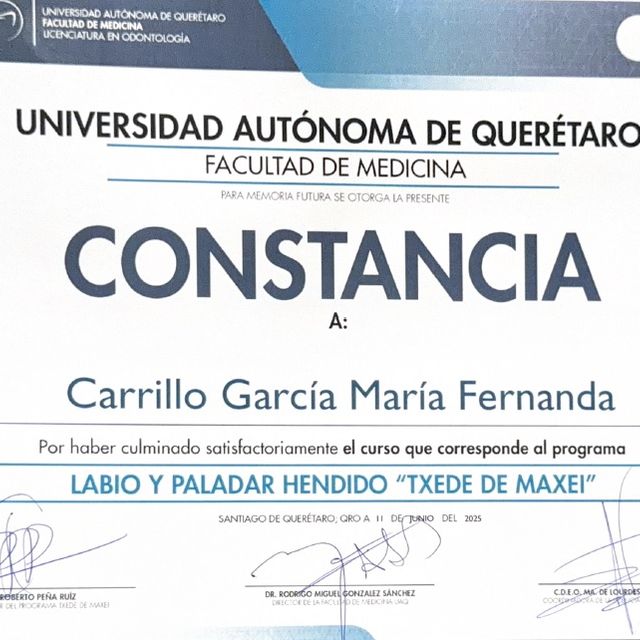 Ampliar imagen: certificate 3
