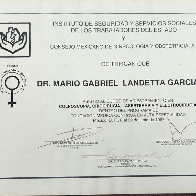 Ampliar imagen: certificate 16