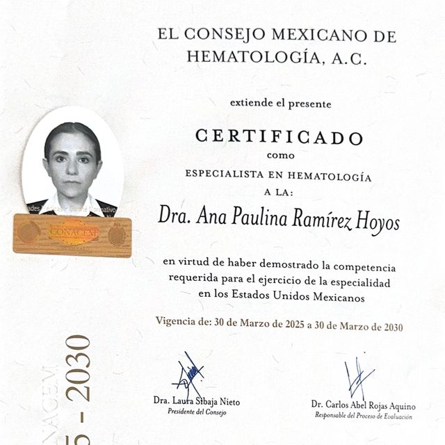 Ampliar imagen: certificate 1