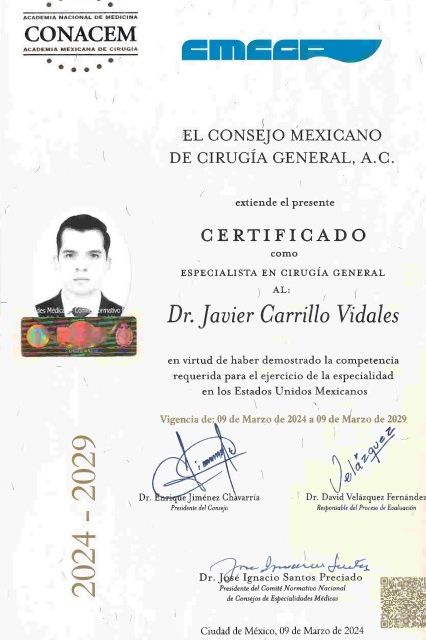 Ampliar imagen: certificate 1
