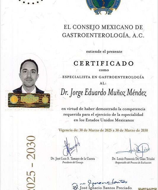 Ampliar imagen: certificate 5