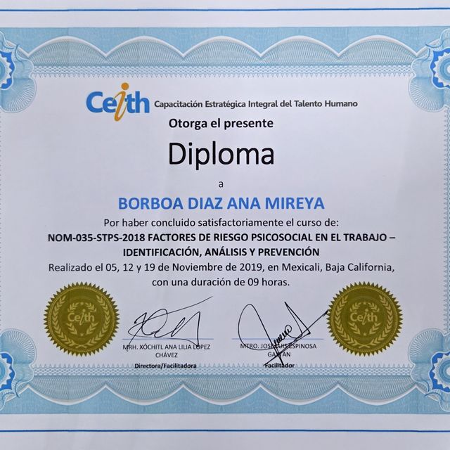 Ampliar imagen: certificate 12