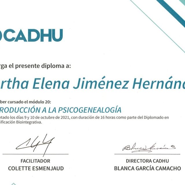 Ampliar imagen: certificate 4