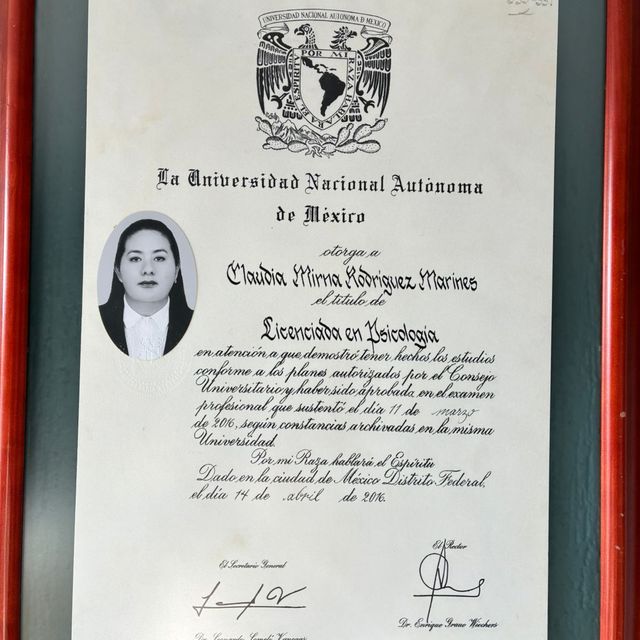 Ampliar imagen: certificate 5