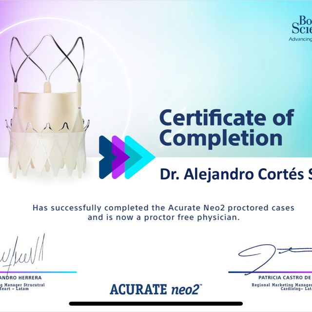 Ampliar imagen: certificate 1