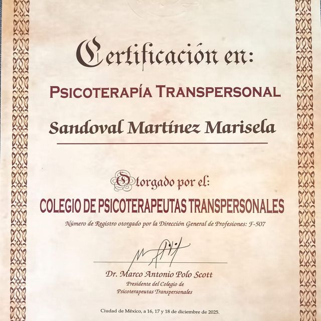 Ampliar imagen: certificate 1