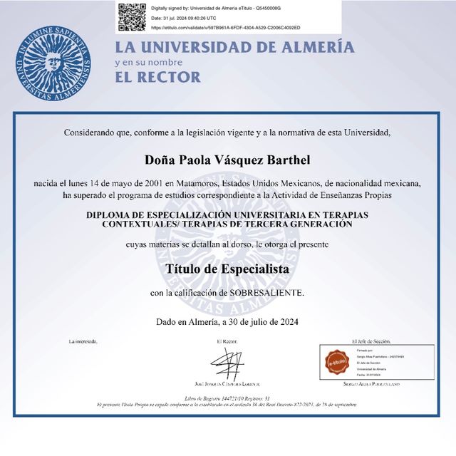 Ampliar imagen: certificate 2