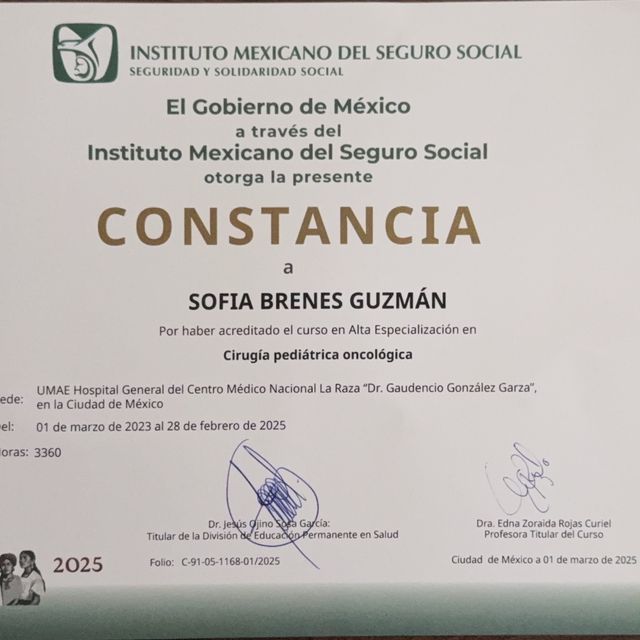 Ampliar imagen: certificate 1