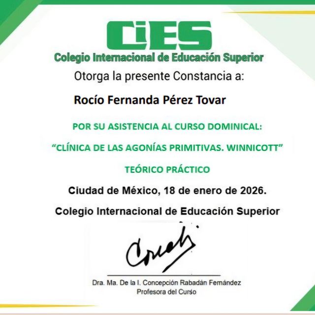 Ampliar imagen: certificate 2