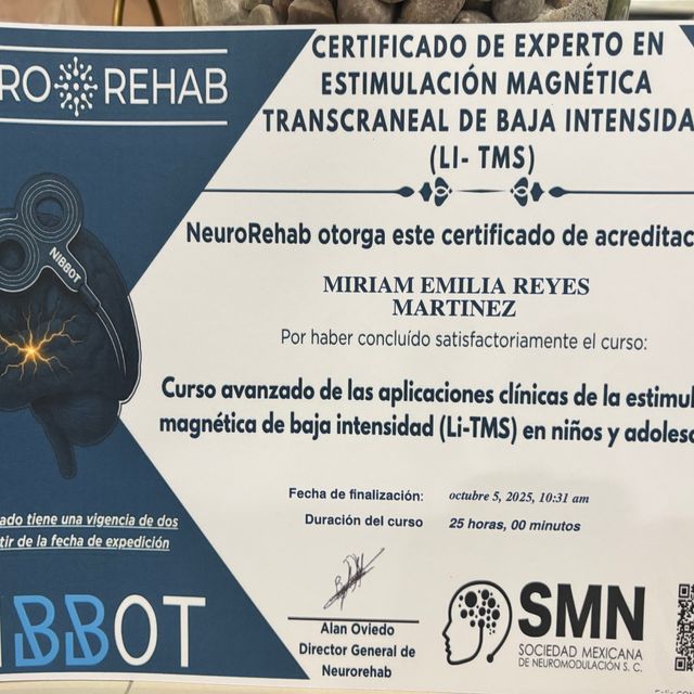 Ampliar imagen: certificate 25