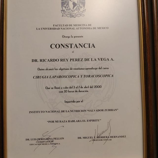 Ampliar imagen: certificate 8