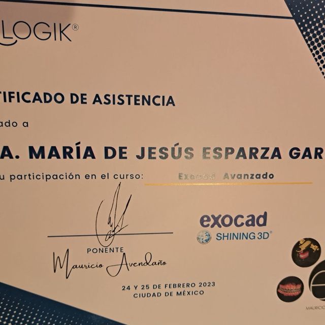 Ampliar imagen: certificate 1