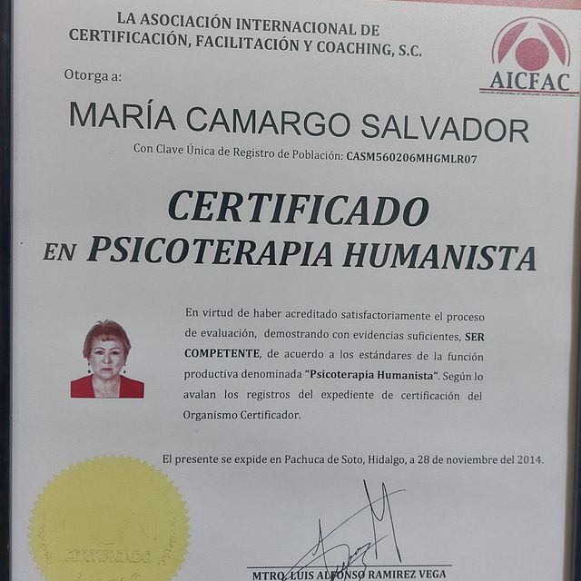 Ampliar imagen: certificate 2