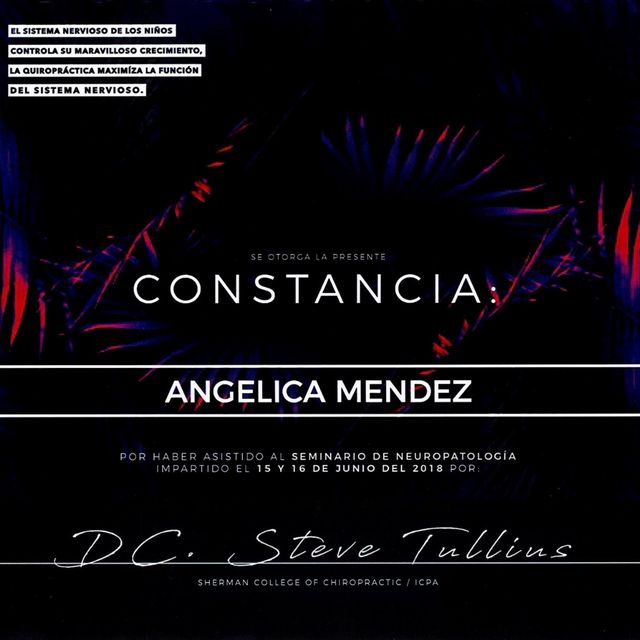 Ampliar imagen: certificate 19