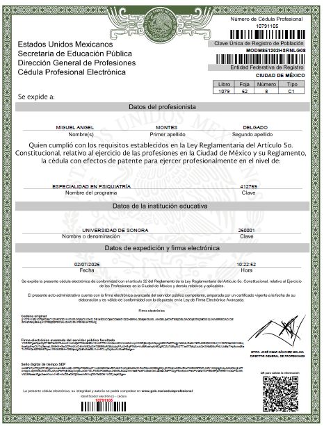 Ampliar imagen: certificate 5
