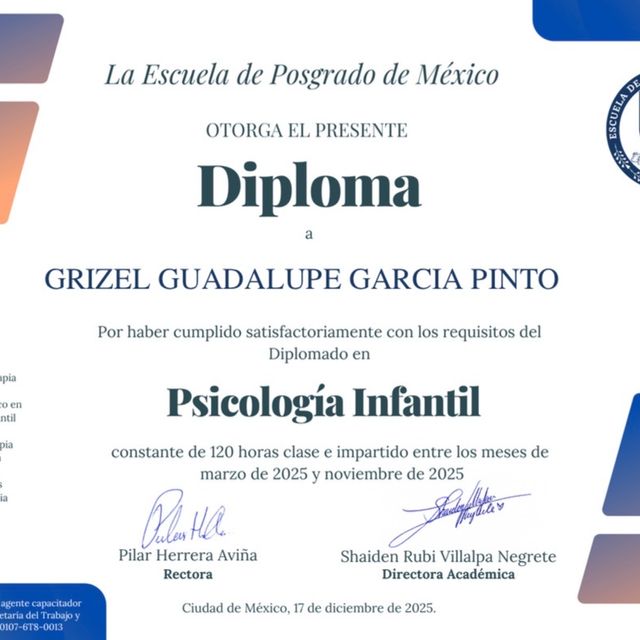 Ampliar imagen: certificate 2