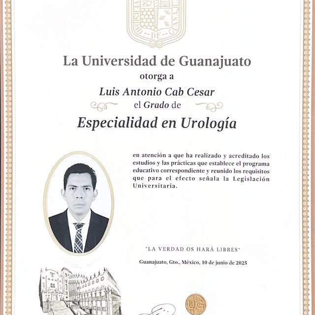 Ampliar imagen: certificate 2
