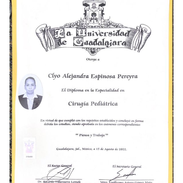 Ampliar imagen: certificate 3