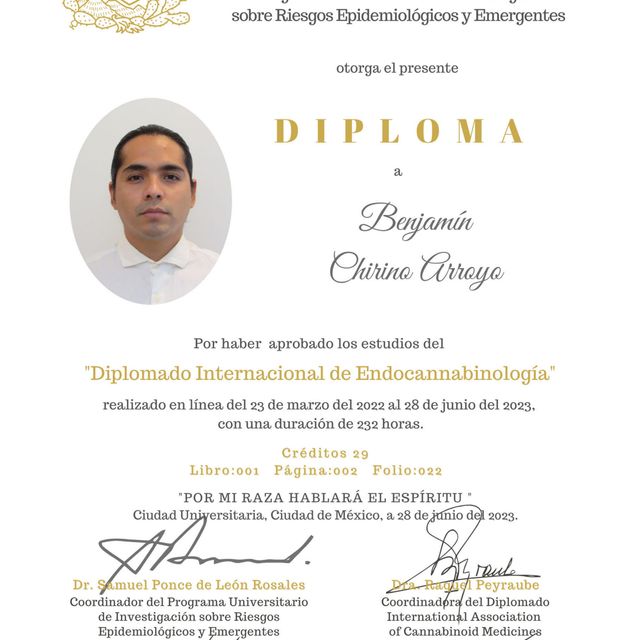 Ampliar imagen: certificate 3