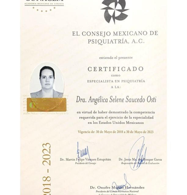Ampliar imagen: certificate 1
