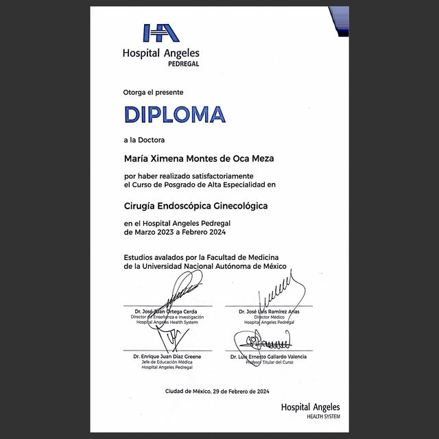 Ampliar imagen: certificate 4