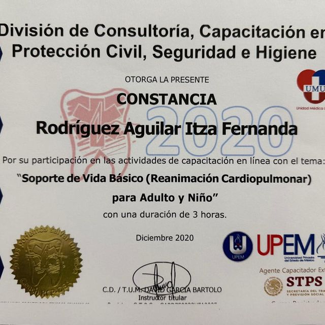 Ampliar imagen: certificate 1