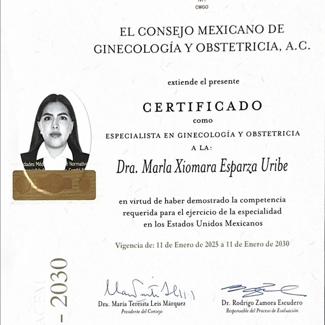 Ampliar imagen: certificate 1