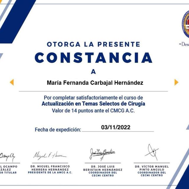 Ampliar imagen: certificate 11