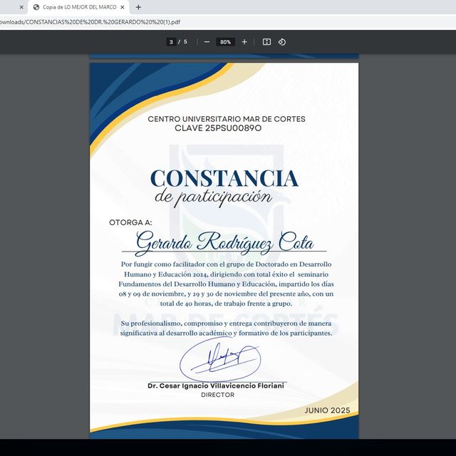 Ampliar imagen: certificate 24