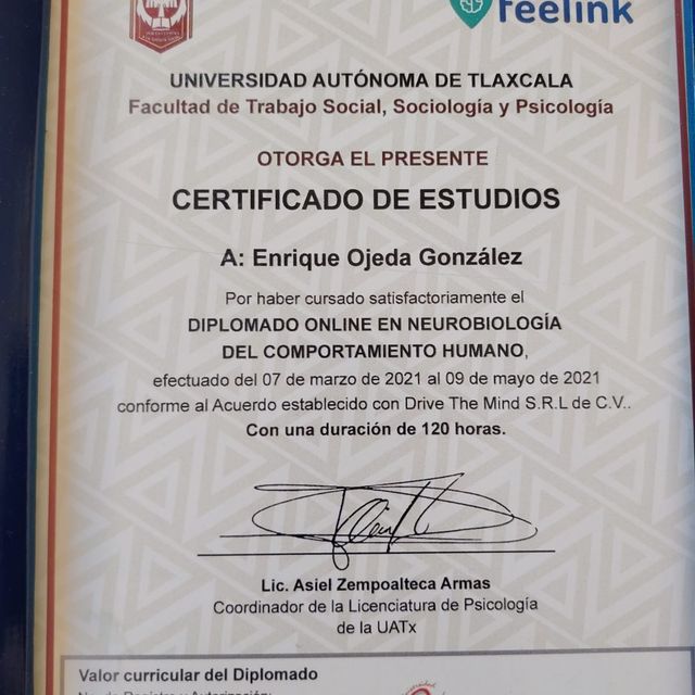 Ampliar imagen: certificate 10