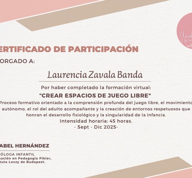 Ampliar imagen: certificate 6