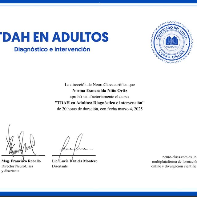 Ampliar imagen: certificate 7