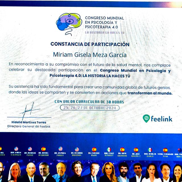 Ampliar imagen: certificate 11