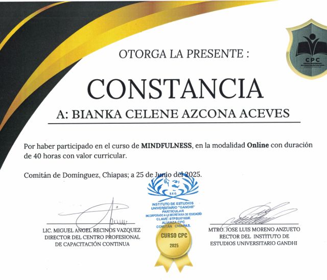 Ampliar imagen: certificate 6