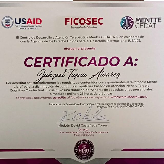 Ampliar imagen: certificate 6