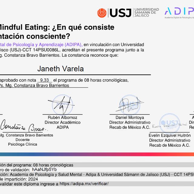 Ampliar imagen: certificate 1